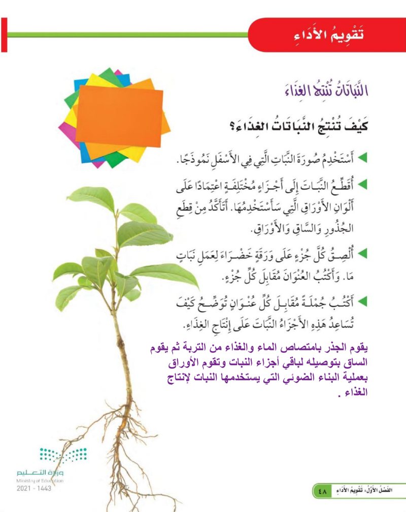 تقزيم الأداء